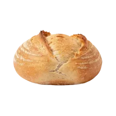 Bakery & Bread