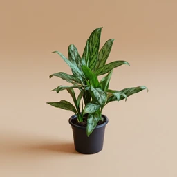 Indoor Growing Supplies
