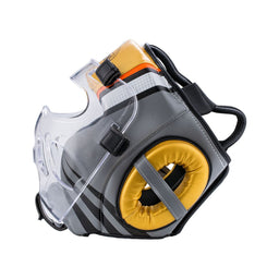 Martial Arts Headgear