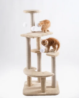 Cat Scratchers