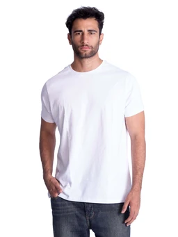 TEE1_1