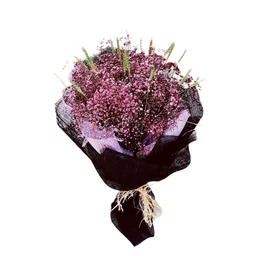 C70DE3E5-2ECF-4DC9-AFD0-A68B6B62BEC2