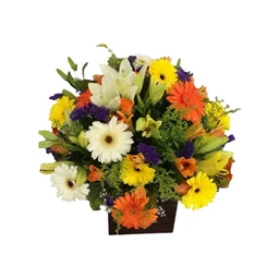 - What the product is: A floral arrangement in a dark square container featuring a bright mix of Gerberas, daisies, lilies, and assorted greenery.
- Apparent intended audience: Unisex/anyone looking for a cheerful bouquet.
- Notable attributes: Multicolor blooms including white, yellow, orange, and purple flowers; lush greenery; compact, rounded arrangement in a square dark holder. No visible branding.