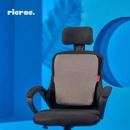 backsupport2