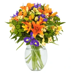 - What the product is: A colorful bouquet of fresh-cut flowers arranged in a round glass vase with visible stems in water.
- Intended audience: Unisex; suitable for general gifting or home decor.
- Notable attributes: Bright orange lilies, purple irises, light cream/peach blossoms, and green filler foliage; clear, rounded glass vase with water and visible stems. Style is vibrant, garden-arrangement bouquet.