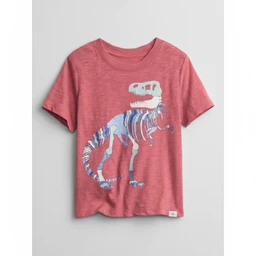 gap-toddler-boy-graphic-tee-2t-403936