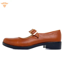 - A single brown leather Mary Jane style shoe with a rounded toe and a chunky low heel.
- Appears aimed at women or girls, judging by the strap and silhouette; features a single strap with a metal buckle over the instep.
- Visible materials and colors: smooth brown leather upper, black sole with a modest heel, and a gold-toned buckle. Simple, classic, and slightly casual in style.