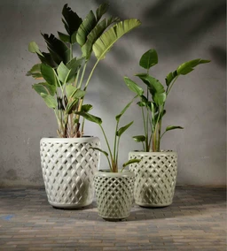 - What the product is: A trio of ceramic planters with a lattice or diamond-cut pattern, each holding a leafy green houseplant.
- Apparent audience: Unisex (suitable for both men and women who enjoy indoor greenery).
- Notable attributes: Off-white ceramic pots with a textured lattice design, different planter sizes, tall green tropical plants with broad leaves, placed on a neutral-toned tile floor against a grey wall. The styling is modern and minimalist.