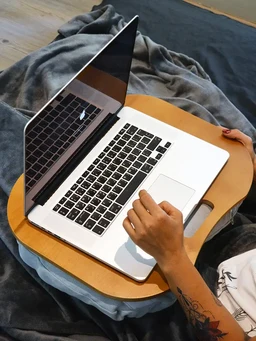 LazylapMain