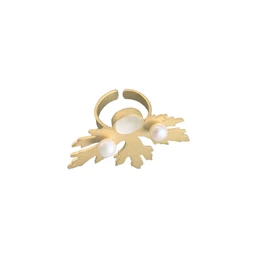ring1_57c07d1a-2080-442d-ab95-e2117cf16402