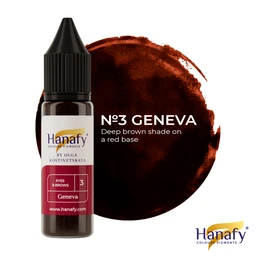 3_Geneva_eng