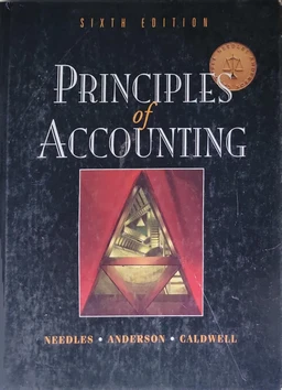 Accounting Ledger Book