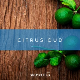 citousoud