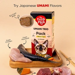 umami_04a79f71-0281-4f6c-ac26-7bcac78ca4bf