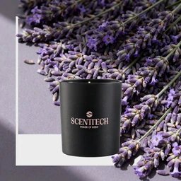 Lavender_Candle