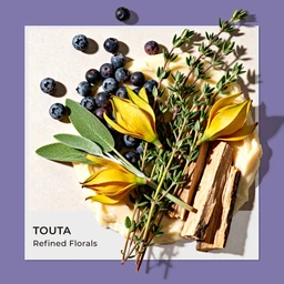 Touta