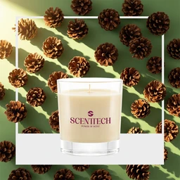 Woody_Whispers_Candle