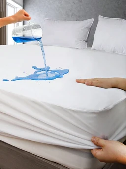 Furniture And Appliance Anti-Wear