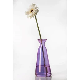 V-17_3167fa97-4fc8-404c-99d5-c525ed4e2ade