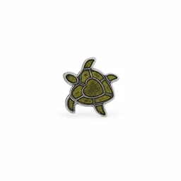 Turtle1