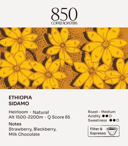 Ethiopia_Sidamo_858280b3-07d5-4871-b495-ef274498a3f1