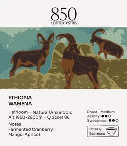 Ethiopia_Wamena