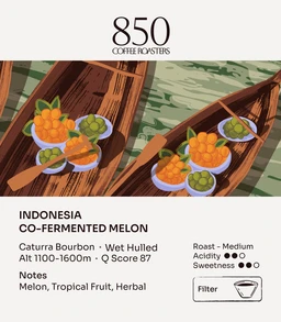 Indonesia_Co-Fermented_Melon_2