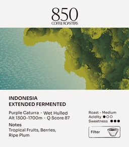 Indonesia_Extended_fermented_fd6fbe4c-3774-4185-bf53-ff98808b852d