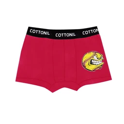 Tween Boys Trunks