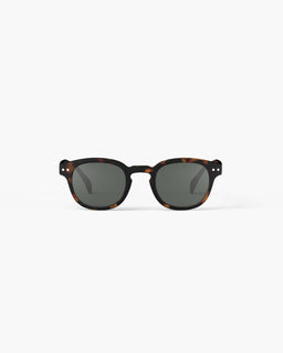 SLMSCC02-CSun-Tortoise-1