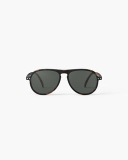 SLMSIC02-ISun-Tortoise-1
