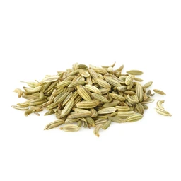 Fennel