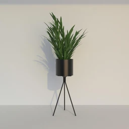 PlantotCLiveEnvironment.3269