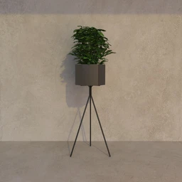 PlantotDLiveEnvironment.3261-Copy