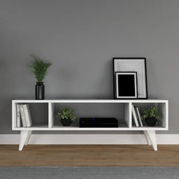 TV-300