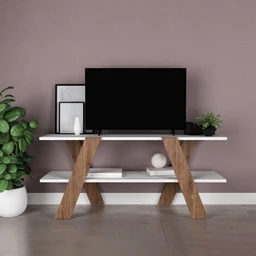 Tv-100