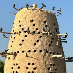 BirdHouse